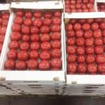 фото Продаем помидоры оптом в краснодарском крае