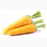 фото Морковь желтая опт от сельхозпроизводителя