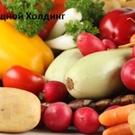 фото Овощи оптом с Ростовской области