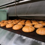 фото Сетка конвейрная для хлебопечей и сушильных камер древесины.