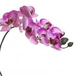 фото Орхидея розовая 85 см (12) (00001601)