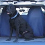 фото Накидки для перевоза собак в автомобиле в С.Петербурге
