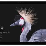 фото Microsoft Планшет Microsoft Surface Pro 5 i5 8Gb 256Gb