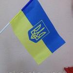 фото Украинские флажки на палочке