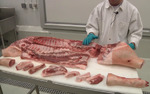 фото Свинина — полутуши 3 категории охлажденное / замороженное мясо (молодняк)