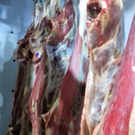 фото Компания занимается реализацией говядины в полутушах напрямую с бойни.