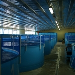 фото Универсальный рыбоводный модуль для осетра 5 тонн в год