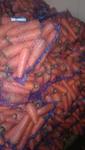 фото Оптовые продажи мытой крупной моркови.Низкие цены
