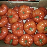 фото Предлагаем помидоры