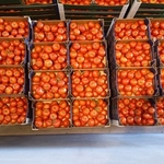 фото Предлагаем свежие помидоры