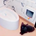 фото Автоматический туалет для кошек Kopfgescheit KG7010