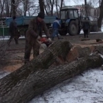 фото Вырубка деревьев в самаре