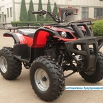 фото Квадроцикл Omaks ATV150 куб.см. (арт.302В)