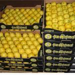 фото Предлагаем приобрести оптом лимон высокого качества по цене от производителя