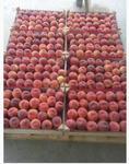 фото Готовы к оптовой реализации персики с доставкой по РФ