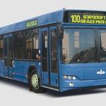 фото Городской автобус МАЗ 103