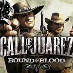 фото Ubisoft Call of Juarez: Bound in Blood (UB_3541)