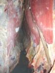 фото Мясо оптом говядина быки оптом п\т охлажденное РФ 180 руб\кг