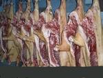 фото Крупно-Оптовые поставки мяса по России