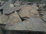 фото Природный камень глинистый сланец "Дракон"