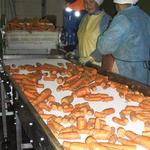 Фото №4 Линия переработки моркови ( для производства и асептической фасовки морковного пюре)