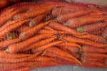 Фото №3 Морковь оптом