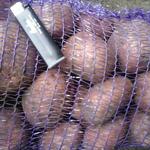 Фото №2 Картофель фасованный, овощи от производителя