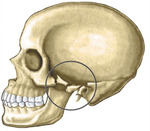 фото Рентгенография скуловой кости (1 проекция)