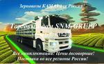 фото Самосвалы-зерновозы на шасси КАМАЗ-65115