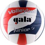 фото Мяч волейбольный Gala Junior