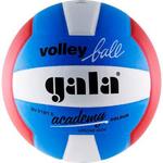 фото Мяч волейбольный Gala Academy BV5181S