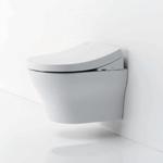 фото TOTO MH CW162Y + Washlet TCF4732G