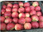 фото Реализуем оптовую продажу яблок Кримсон с доставкой по России