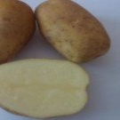 фото Семенной картофель из Беларуси в Саратове