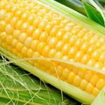 фото Семена гибриды кукурузы Pioneer ПР39Ф58