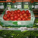 Фото №3 Продам овощи и фрукты из Голландии.
