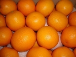 Фото №2 Продаем Апельсины оптом ЮАР!