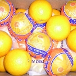 фото Свежие апельсины "Валенсия" из Египта