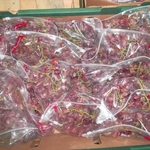 фото Бескосточковый виноград Кримсон из Египта