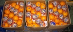 Фото №2 Апельсины оптом. ЮАР.