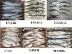 фото Рыба вяленая, рыба сушеная, сушёные морепродукты, мясо, орехи, весовые снеки, закуски к пиву