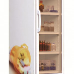 фото Холодильник-шкаф фармацевтический для хранения лекарственных препаратов ХШФ -"ЕНИСЕЙ-350" -3