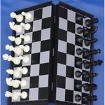 фото Шахматы-шашки магнитные пластиковые с доской 25 см