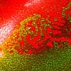 фото Напольная жидкая плитка красно зеленого цвета