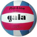 фото Мяч волейбольный Gala Pro-Line Colour BV5211L