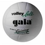 фото Мяч волейбольный Gala Training (синтетическая кожа)