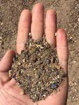 фото Гравий и песко-гравийная смесь, ПГС, песок крупномодульный