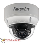 фото Falcon Eye FE-IPC-DL201PVA: Купольная IP-камера