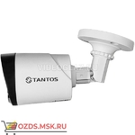 фото Tantos TSc-P1080pUVCf (2.8) Видеокамера AHDTVICVICVBS