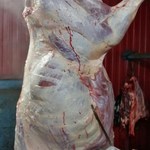 Фото №2 Мясо-говядина порода СИММЕНТАЛЬСКАЯ в полутушах,
